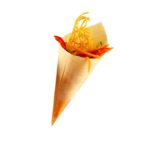 8b438a50-1d77-4c55-9209-d7ddeb8797a8.png
