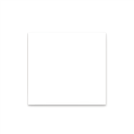Carta Antigrasso Bianca Misura 31x31 - 1000 Pz