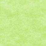 ac91529f-c23d-4e18-b238-c61ee1da80b2.jpg
