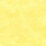 2d794ea6-2787-4ccc-8080-a9b4a51fdf7a.jpg