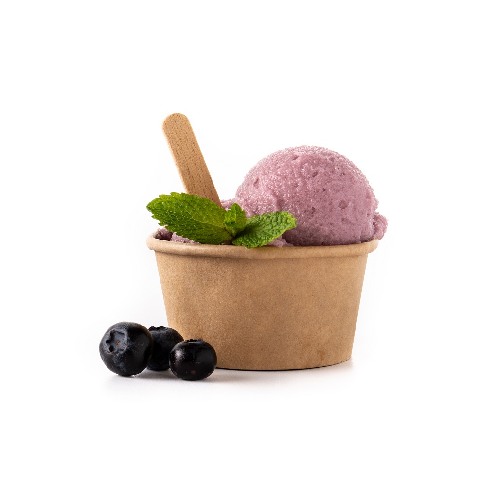 Blueberry ice cream scoop